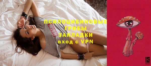 не бодяженный Арсеньев