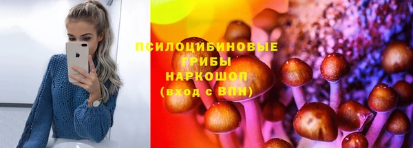СК Аркадак