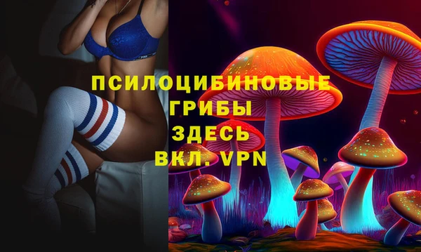 СК Аркадак