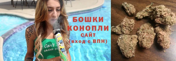 СК Аркадак